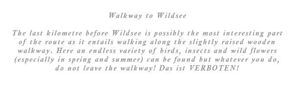 The last kilometer before Wildsee is possibly the most interesting part of the route as it entails walking along the slightly raised wooden walkway. Here an endless variety of birds, insects and wild flowers (in spring and summer) can be found but whatever you do, do not leave the walkway! Das ist VERBOTEN!