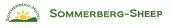 Sommerberg sheep