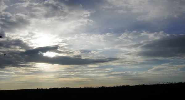 Early morning Black Forest