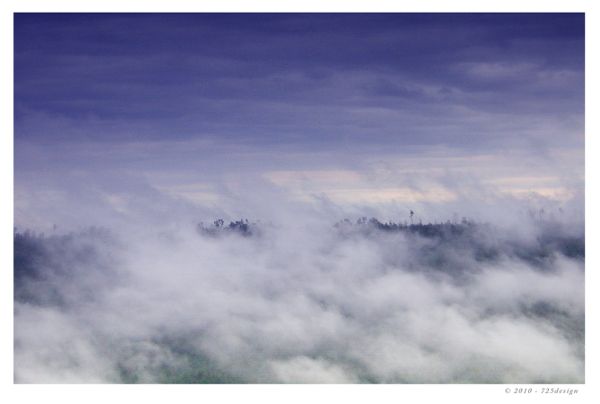 Low clouds drift through the Enz Valley