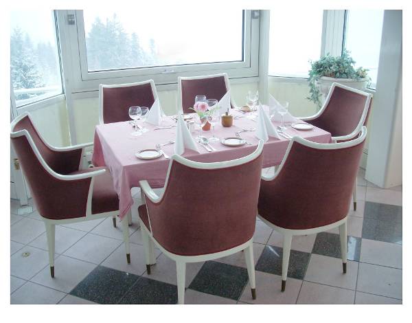 Sommerberg hotel conservatory