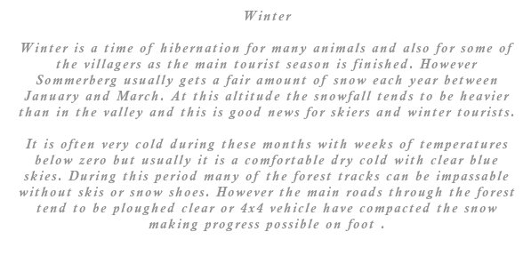 It is often very cold during these months with weeks of temperatures below zero but usually it is a comfortable dry cold with clear blue skies. During this period many of the forest tracks can be impassable without skis or snow shoes. However the main roads through the forest tend to be ploughed clear or 4x4 vehicle have compacted the snow making progress possible on foot.