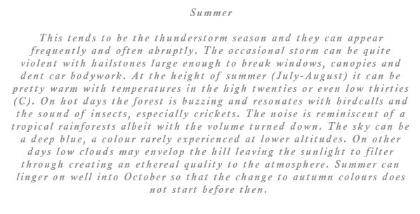 Summer tends to be the thunderstorm season and they can appear frequently and often abruptly. The occasional storm can be quite violent with hailstones large enough to break windows, canopies and dent car bodywork. At the height of summer (July-August) it can be pretty warm with temperatures in the high twenties or even low thirties (C). On hot days the forest is buzzing and resonates with birdcalls and the sound of insects, especially crickets. The noise is reminiscent of a tropical rainforests albeit with the volume turned down. The sky can be a deep blue, a colour rarely experienced at lower altitudes. On other days low clouds may envelop the hill leaving the sunlight to filter through creating an ethereal quality to the atmosphere. Summer can linger on well into October so that the change to autumn colours does not start before then. 