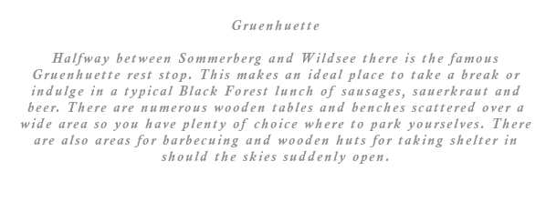 Halfway between Sommerberg and Wildsee is the Gruenhuette restaurant. This makes an ideal place to have a break or indulge in a typical Black Forest lunch of sausages, sauerkraut and beer. You can take your pick of where to sit as there are a variety of wooden tables and benches scattered over a wide area. There are also areas for barbecues and huts for taking refuge should the skies suddenly open.